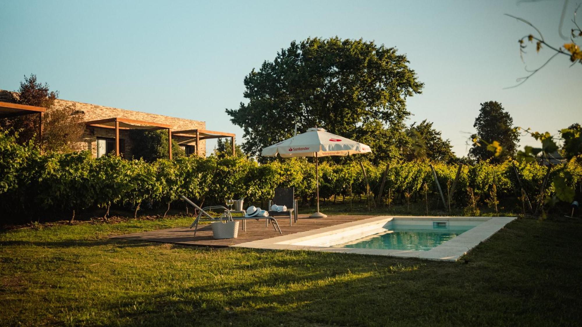 Pizzorno Lodge & Wine Progreso Exterior photo
