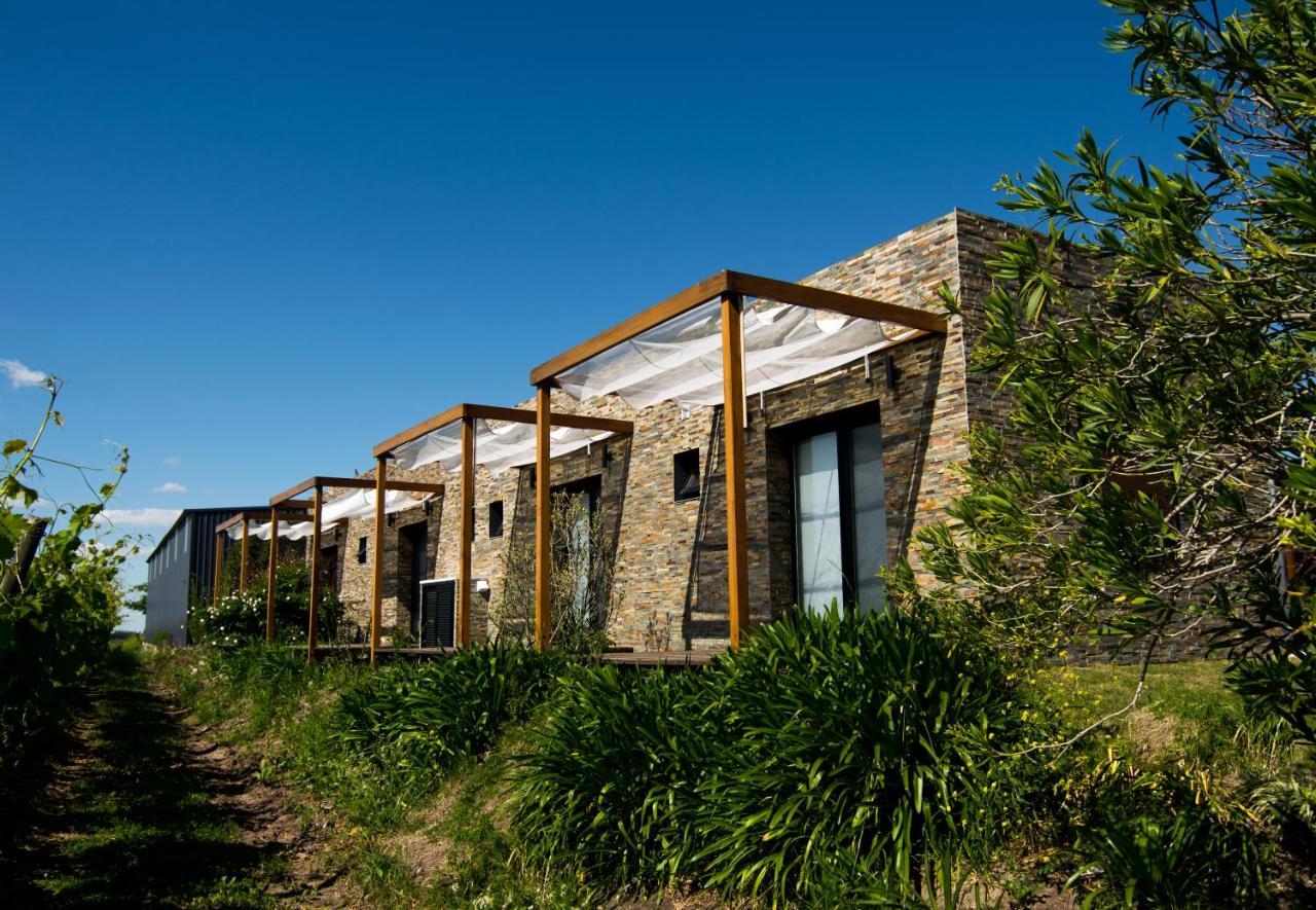 Pizzorno Lodge & Wine Progreso Exterior photo